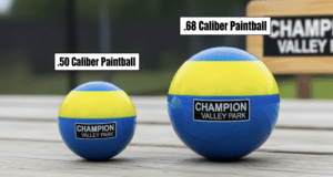 .50 cal vs .68 cal